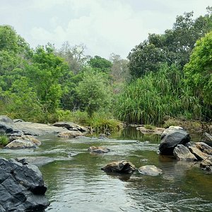 Papanashini River